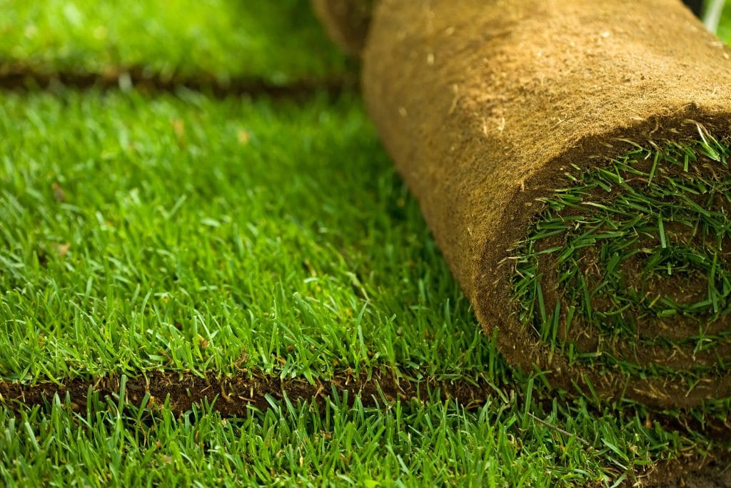 St Augustine Grass Atlanta Sod Solutions   Grass In Roll 2 Min 1024x683 